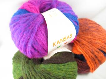 内藤商事  カンサス  