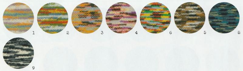 ゲルニカ　色見本　2025.jpg