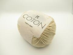 コトン　2.JPG
