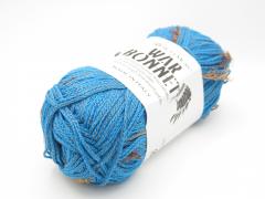 ウォーボンネット 3.JPG