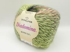 domina425.JPG